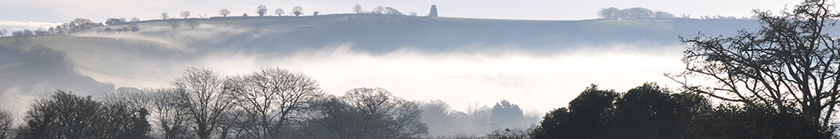 Bulleigh Barton landscape